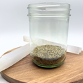 Rosemary - Organic